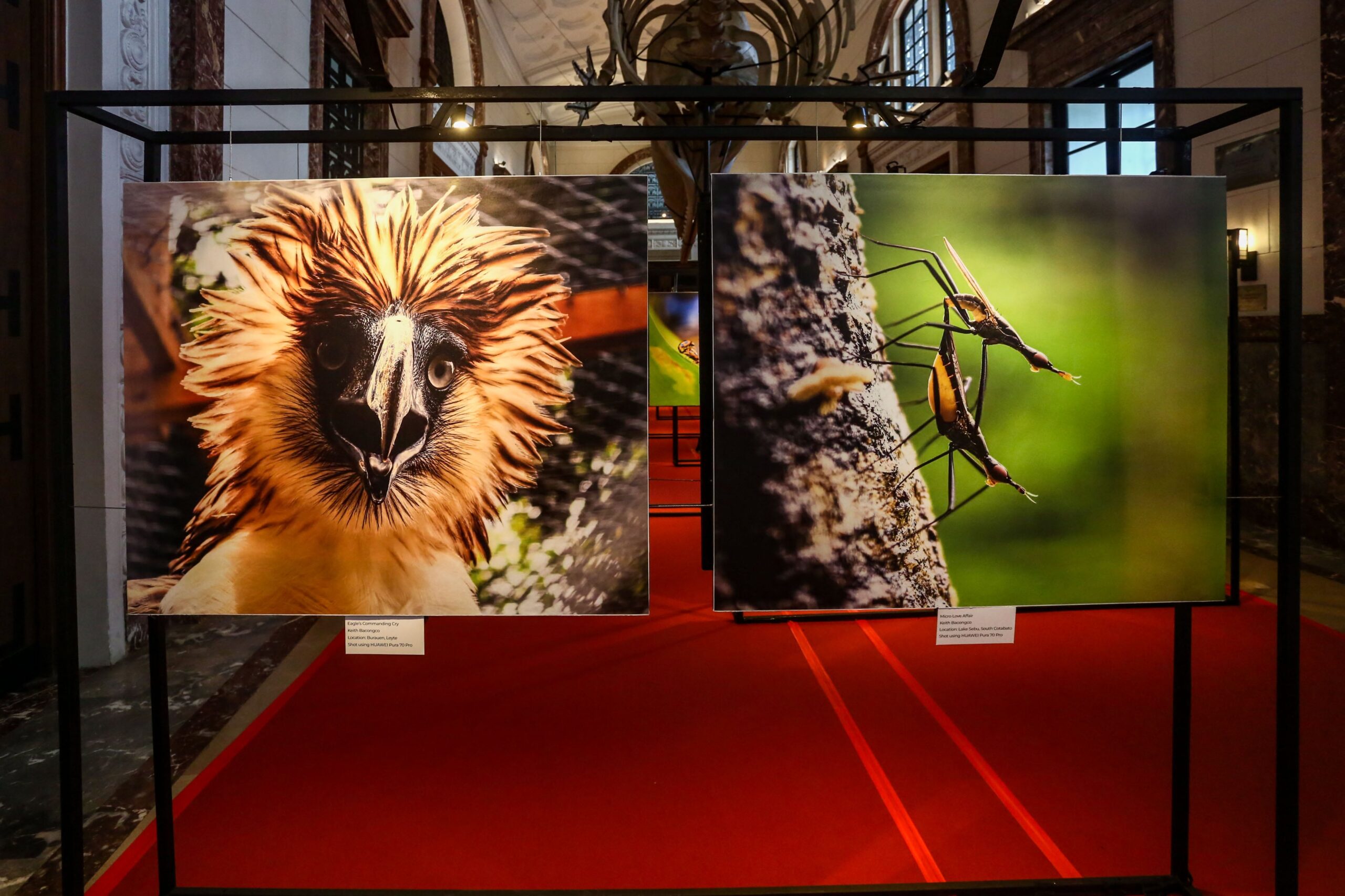 Earth + Lens exhibit propels environmental stewardship at Nat’l Museum