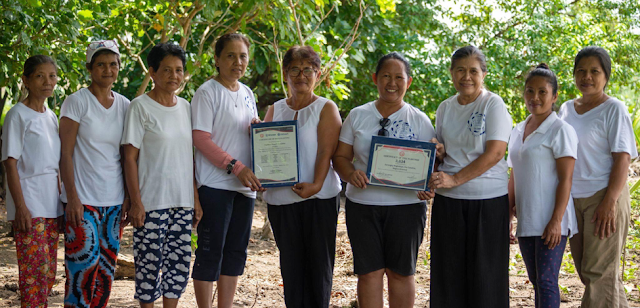 Silliman University plants 132,000 mangrove and beach forest seedlings through GCash partnership