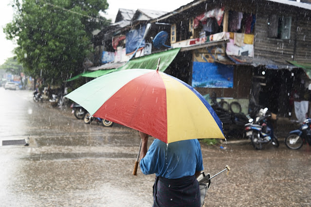 The Surprising Link Between the Rainy Season and Your Gut