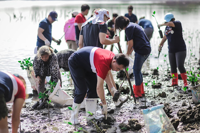 Jollibee Group Beefs Up its Mangrove Reforestation Project with Employee Volunteers