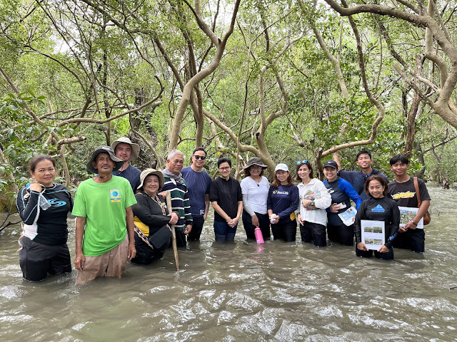 Sun Life Foundation enhances mangrove conservation in Samar and Biliran